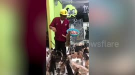 Meet the Indonesian man who has 480 cats