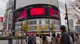 Tokyo and Covid-19