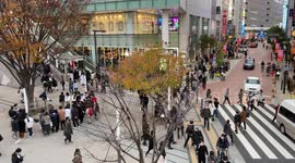 Tokyo and Covid-19