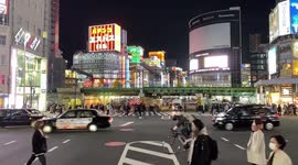 Tokyo and Covid-19
