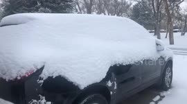 Watch as large storm brings nearly half a foot of snow to Colorado