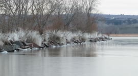 Beautiful display of icicles along the shores of Lake Superior 6 views•Dec 13, 2020