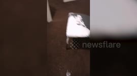 Hilarious video shows toddler painting herself and living room with Sudocrem