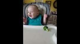 Hilarious reaction of baby gagging from the smell of broccoli!