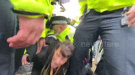 The monent anti-vaccine protester gets arrested outside Parliament in London