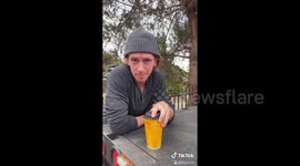 Motorist fooled as US man places magnetic in coffee cup and leaves it on his truck