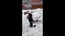 Baby Evran talking to snow when he first saw snow falling in Toronto