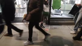 Dog In Christmas Outfit In London