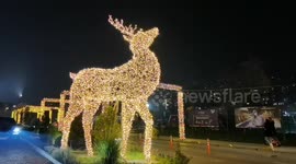 Decorated reindeer for Christmas and new year