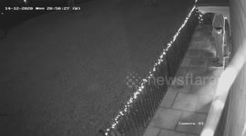 Family shocked after CCTV captures thief stealing a life-size model of the GRINCH from their home