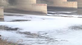 Thick layer of toxic foam floats on surface of river Yamuna in Delhi