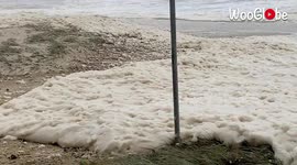 Sea foam due to storm surge combined with king tide on east coast of Australia