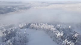 Winter wonderland appears amid snowstorm in West Virginia