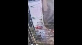 CCTV footage captures frogs hopping across road inside plastic bag as they attempt to escape fatal destiny