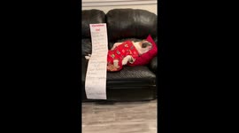 Where is Santa Paws? Bulldog sleeps in Grinch pajamas with long wish Christmas list