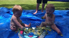 Watch twins annihilate their first birthday cake in hilariously cute video