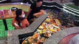 Bizarre cafe in Vietnam lets diners sit among pools of koi carp