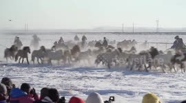 Thousands of horses gallop across picturesque snowy grasslands in northern China