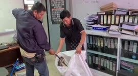 Python caught inside police station kitchen pantry in Thailand