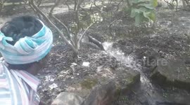 Indian farmers mistake otter for 'strange animal' that killed livestock