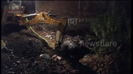 Baby buffalo trapped in deep borewell dug free by excavator in central India