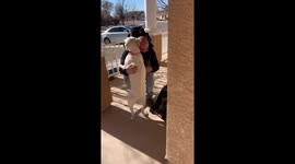 Happiness fills the air when excited Labrador is reunited with owner after overseas deployment
