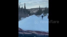 Incredible Moment Man Stands Up To Charging Moose