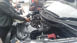 Massive python found under bonnet of car parked at Indonesian airport