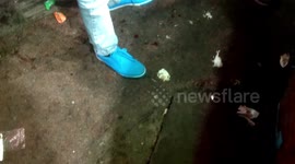 Fire Paan Experience at Connaught Place, Delhi