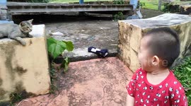Tame stray cat enjoys being cuddled by a 2-year-old boy