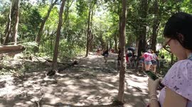 Tribo indígena in Manaus - Brazil ( Indian tribe)