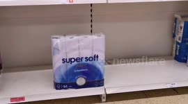 Empty Toilet Rolls on Shelves