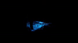 'Alien' footsteps on beach in Maldives as sand glows with bioluminescent algae