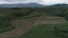 Corn Field