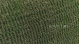 Beautiful View From the air