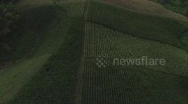 From Field to Sunset