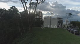 Big Tree to beautiful city view and sunset