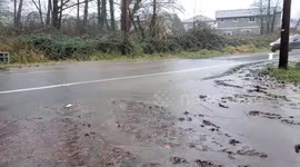 US: Warning Issued, Heavy Rain Causes Flash Flooding In Seattle WA