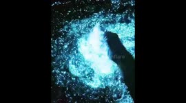 Otherworldly bioluminescent plankton illuminates Maldives beach