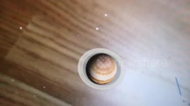 Odd Way Of Watching The Jupiter and Saturn Conjunction
