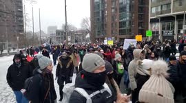 Hundreds join anti-lockdown march in Montreal snow