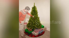 This man decorated one Christmas tree 300 TIMES and the result is brilliant