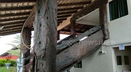 Timber-frame home made from fallen tree branches