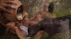 Build Castle Mud Dog House