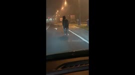 Black horse trying to race with the cars in the middle of the night