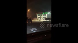 Escaped dark horse seen running through night traffic on streets of Sarajevo