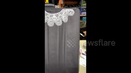 Ruth Bader Ginsburg-inspired gift is a crafty homage to the late icon this Christmas