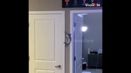 Guy successfully completed four tricks in a row, unbelievable