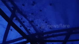 Terrified camper wakes up to dozens of mystery spiders covering his tent