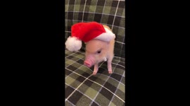Santa is here!
